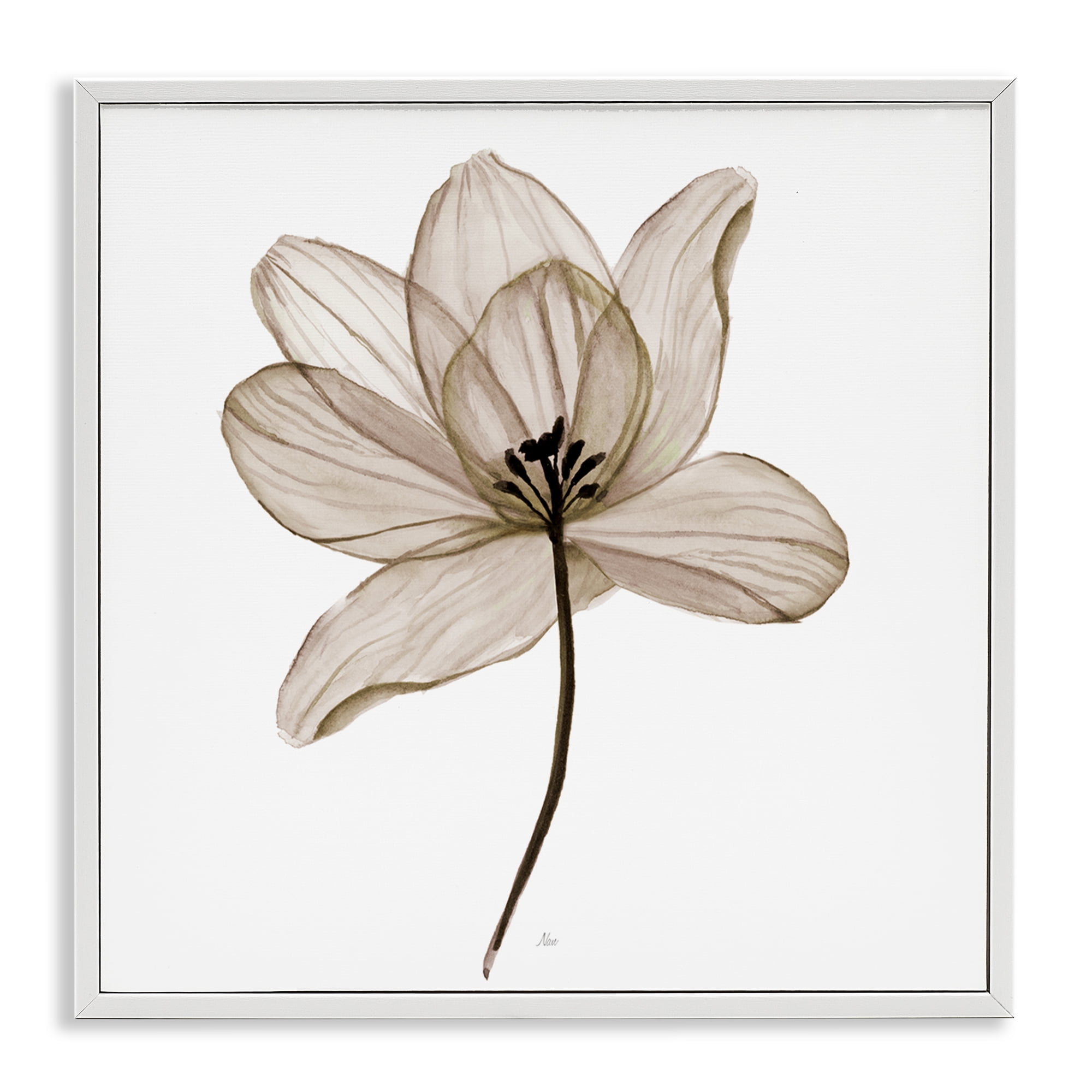 Stupell Industries Beige Opaque Flower Plants & Flowers Painting White Framed Art Print Wall Art, 12 x 12