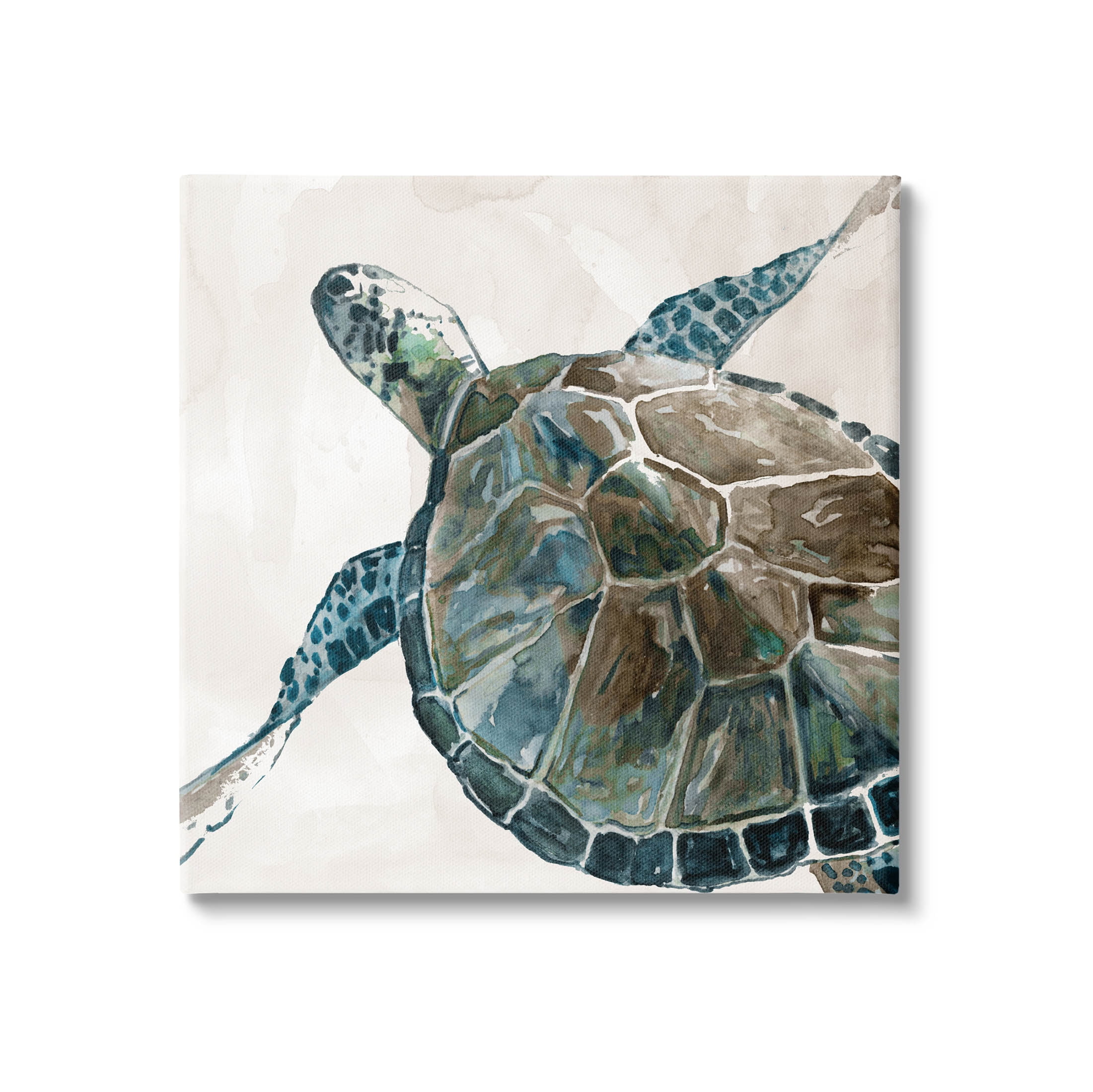 Beige and Blue Sea Turtle Canvas Wall Art, 24 x 24