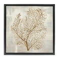 thumbnail image 1 of Stupell Industries Beige Tides Botanical Black Framed Floater Canvas Wall Art design by Hannah Dawson, 25 x 25, 1 of 9
