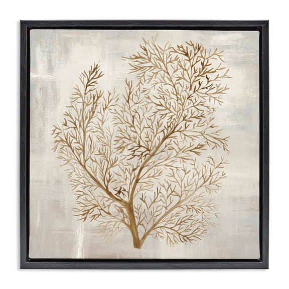 Stupell Industries Transitional Beige Tides Botanical Black Floating Frame Canvas Art, 25 x 25, by Hannah Dawson