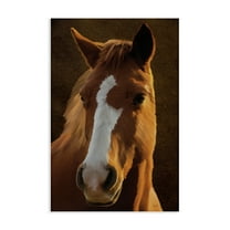 Stupell Industries Bella Brown Horse Face Animals Painting Wrapped Canvas Art Print Wall Art, 16 x 24