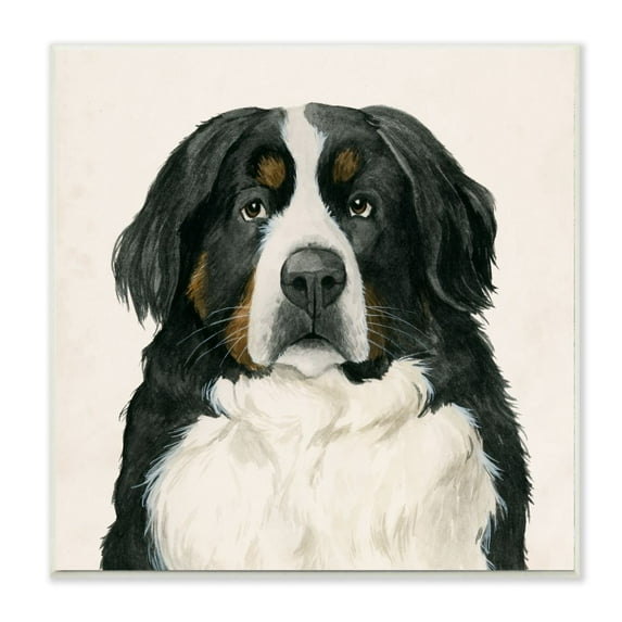 Stupell Industries Bernese Mountain Dog Portrait Family Farm Pet Wall Plaque Design by Grace Popp