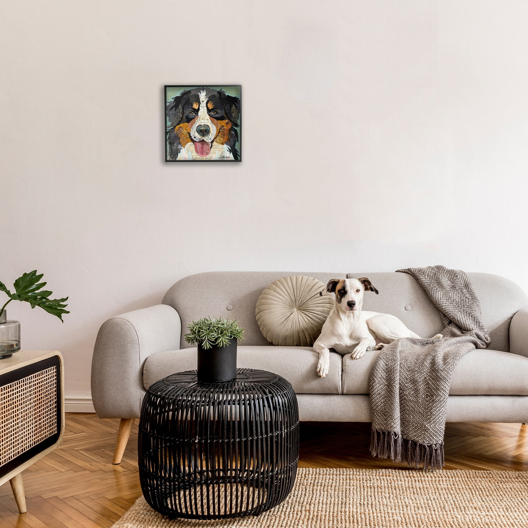 Stupell Industries Bernese Mountain Dog Portrait Layered Ephemera Collage Graphic Art Black Framed Art Print Wall Art, Design by Traci Anderson