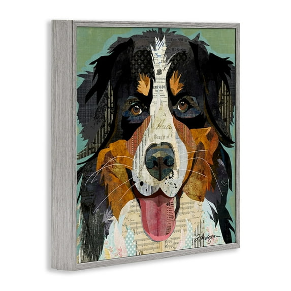Stupell Industries Bernese Mountain Dog Portrait Layered Ephemera Collage Graphic Art Gray Framed Art Print Wall Art, Design by Traci Anderson