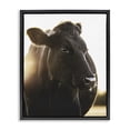 thumbnail image 1 of Stupell Industries Farmhouse Bessie The Cow Portrait Black Floating Frame Canvas Art, 17 x 21, by Leah Straatsma, 1 of 8