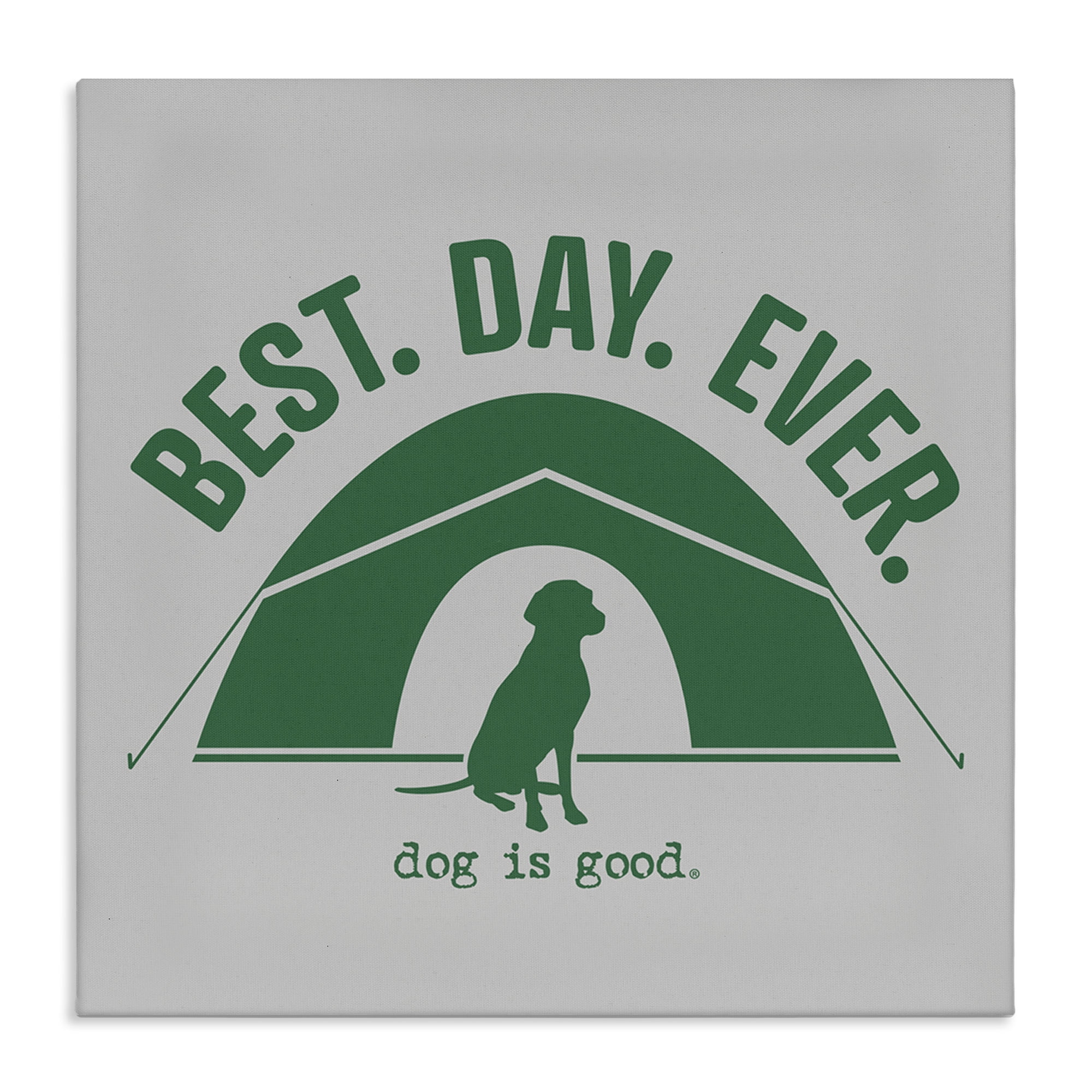 Stupell Industries Best Day Camping Dog Animals Painting Wrapped Canvas Art Print Wall Art, 17 x 17