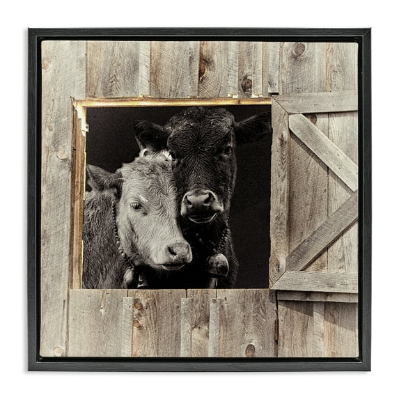 Stupell Industries Best Friends Barn Cows Black Framed Floater Canvas Wall Art design by Sophie 6, 25 x 25