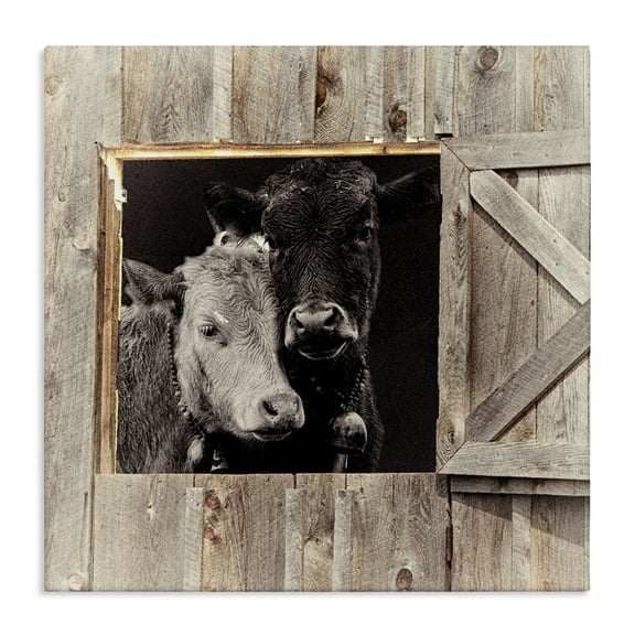 Stupell Industries Best Friends Barn Cows Canvas Wall Art design by Sophie 6, 24 x 24