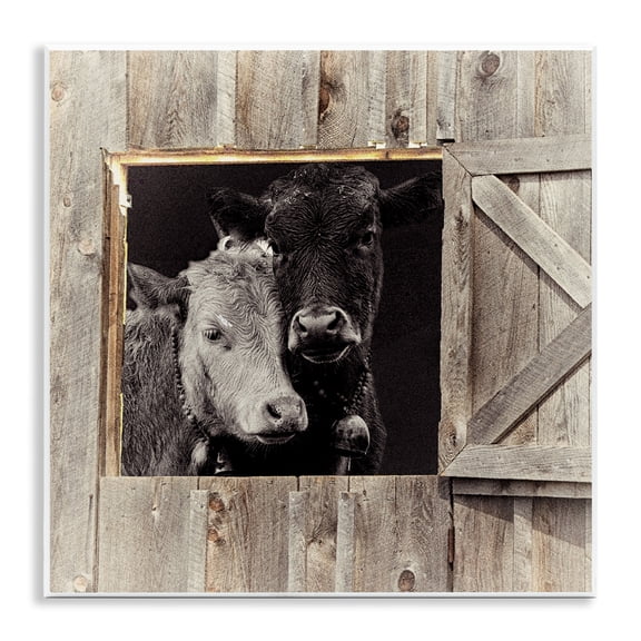 Stupell Industries Best Friends Barn Cows Wall Plaque Art design by Sophie 6, 12 x 12