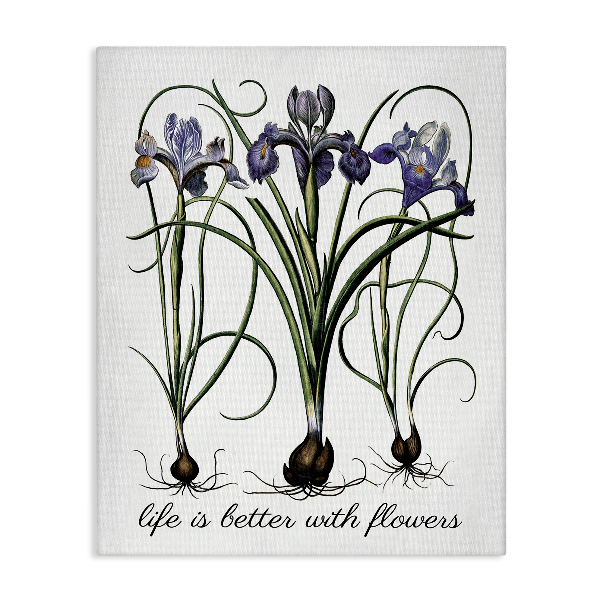 Stupell Industries Better With Flowers Botanical & Floral Painting Gallery Wrapped Canvas Art Print Wall Art, 16 x 20