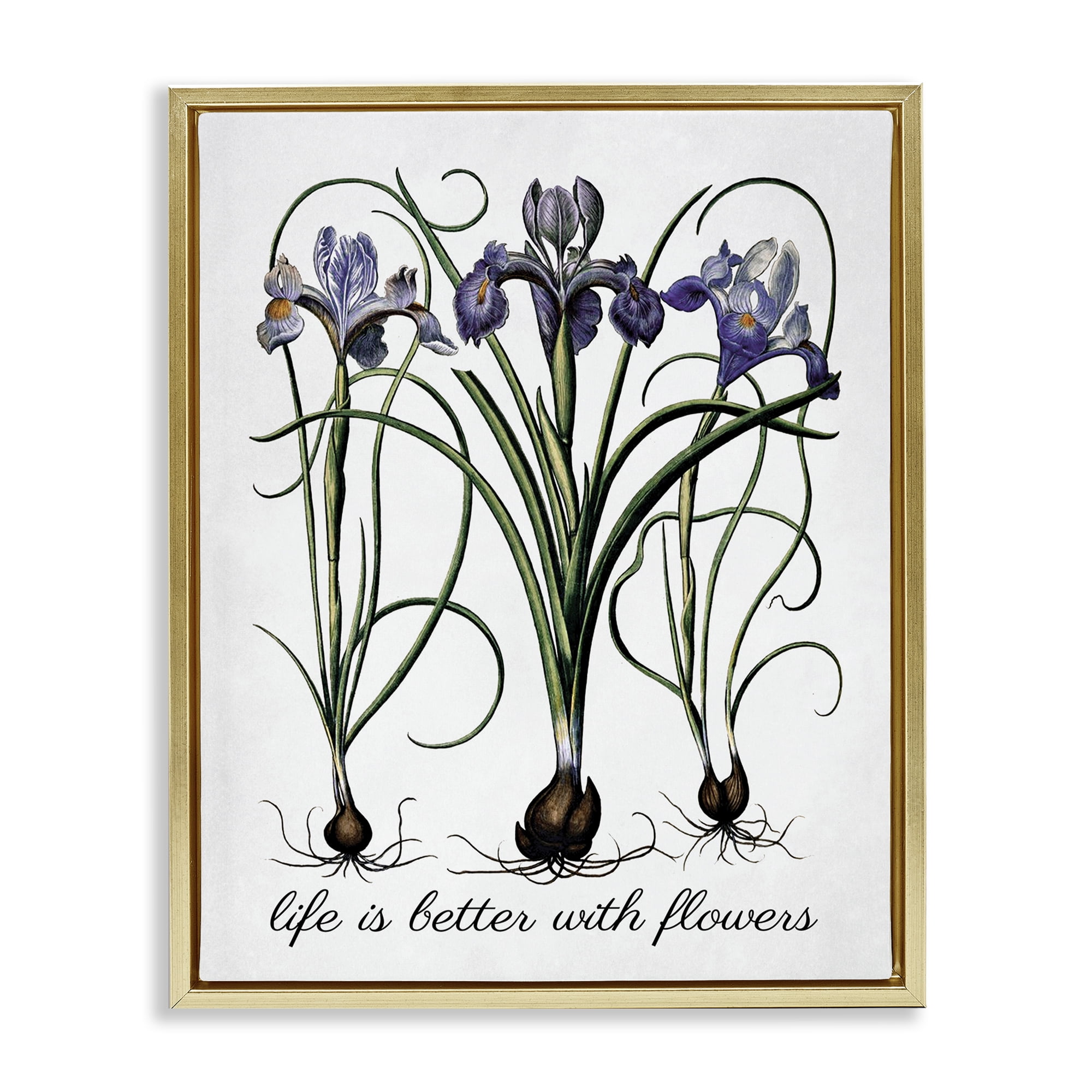 Stupell Industries Better With Flowers Botanical & Floral Painting Gold Floater Framed Art Print Wall Art, 17 x 21