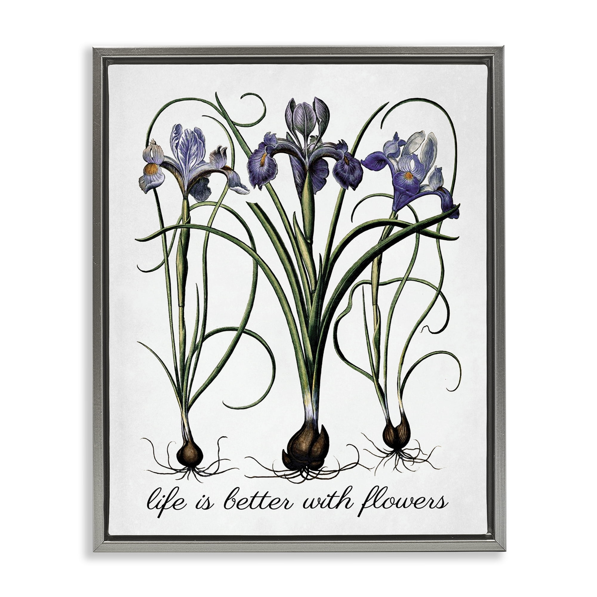 Stupell Industries Better With Flowers Botanical & Floral Painting Gray Floater Framed Art Print Wall Art, 25 x 31