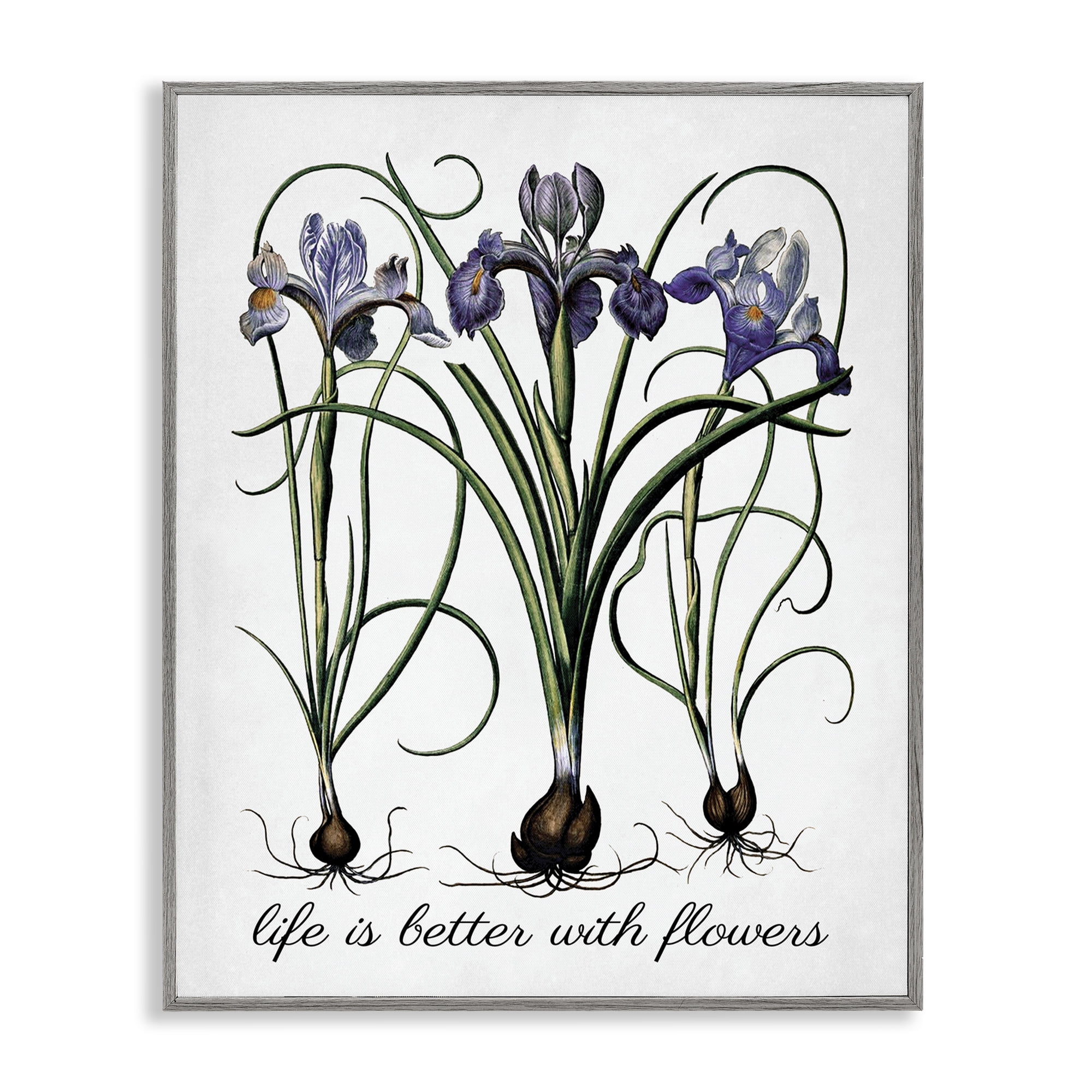 Stupell Industries Better With Flowers Botanical & Floral Painting Gray Framed Art Print Wall Art, 11 x 14