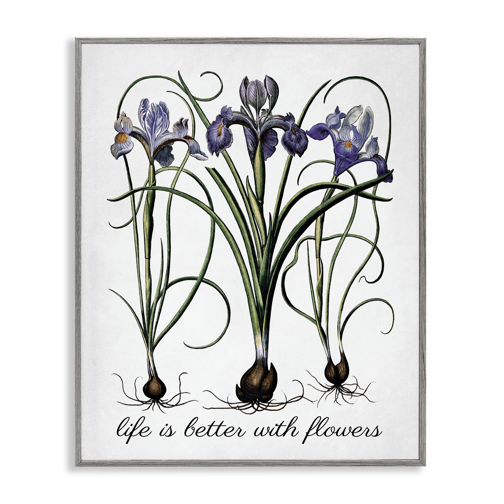 Stupell Industries Better With Flowers Botanical & Floral Painting Gray Framed Art Print Wall Art, 16 x 20
