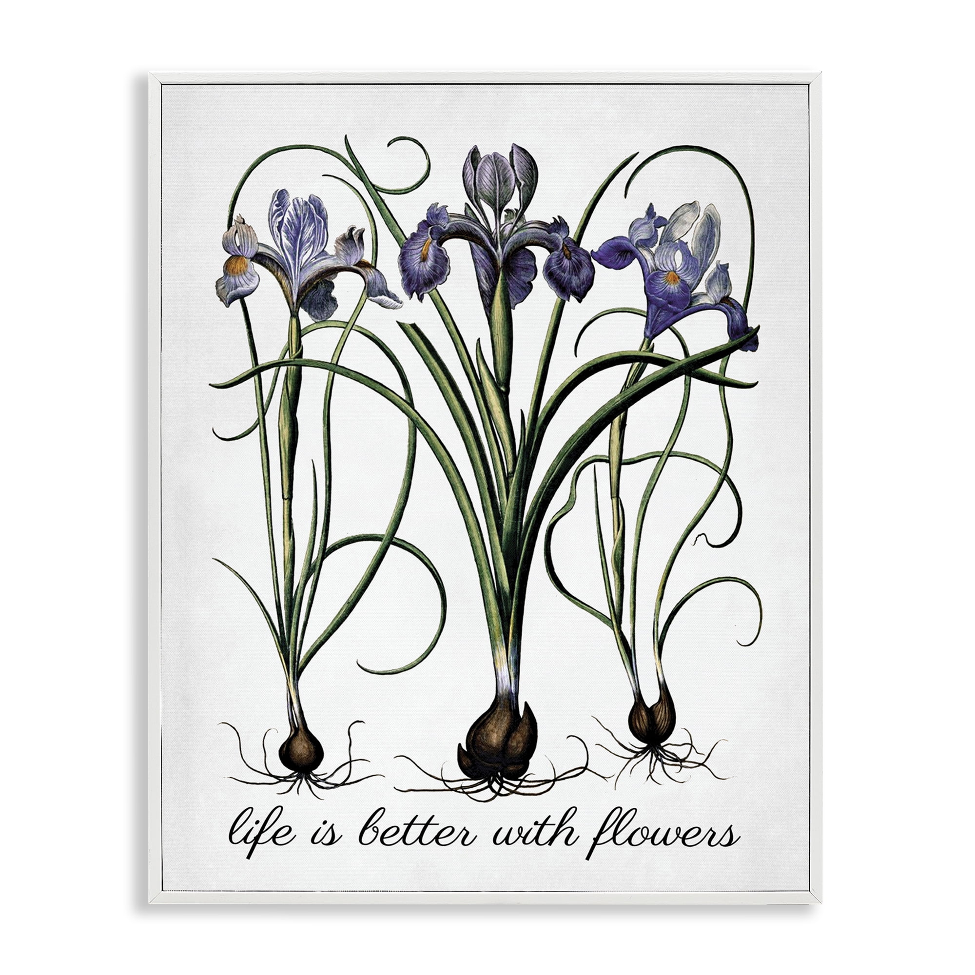 Stupell Industries Better With Flowers Botanical & Floral Painting White Framed Art Print Wall Art, 24 x 30