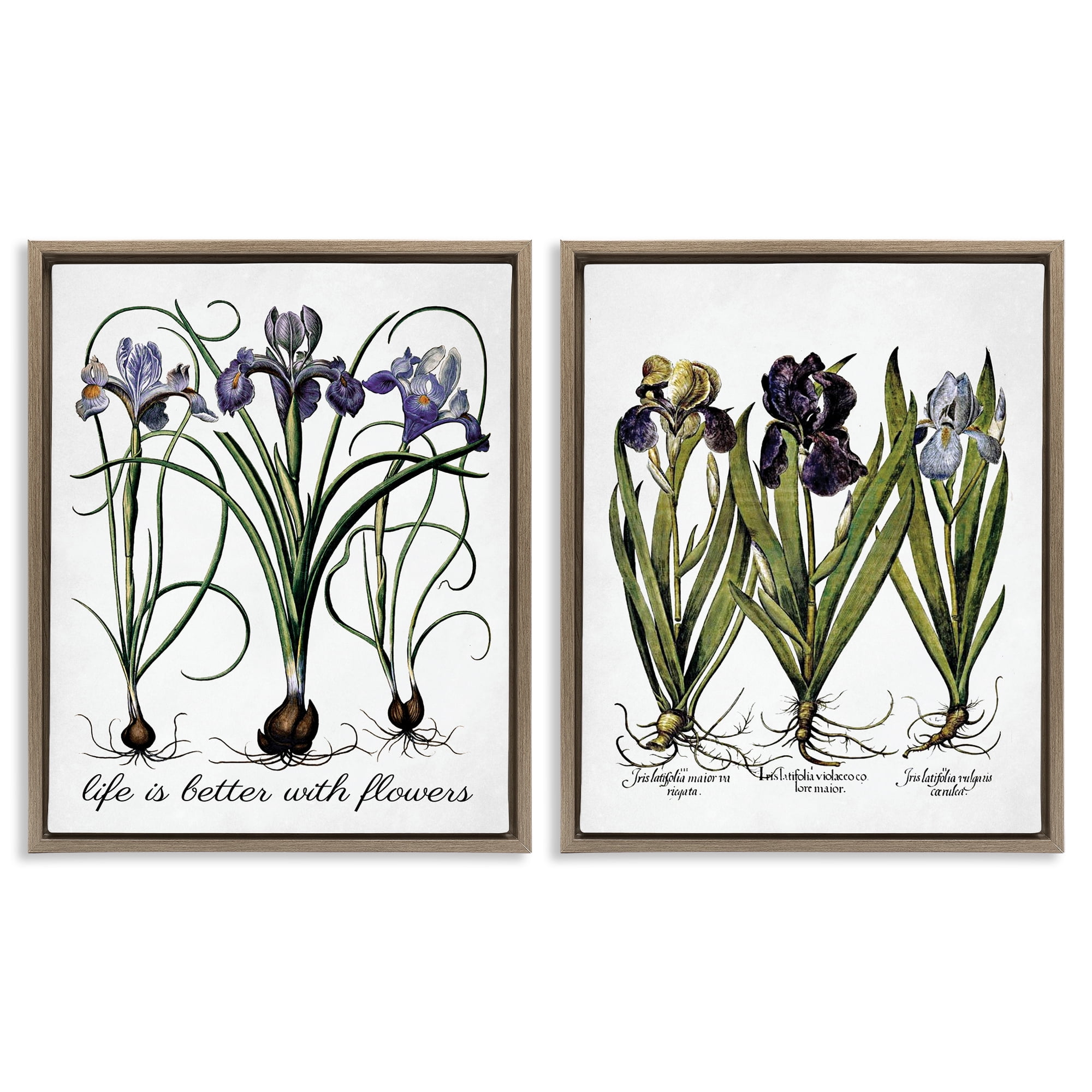 Stupell Industries Better with Flowers Iris Bulb Plants & Flowers Painting Brown Floater Framed Canvas Art Print Wall Art, 17 x 21, Set of 2