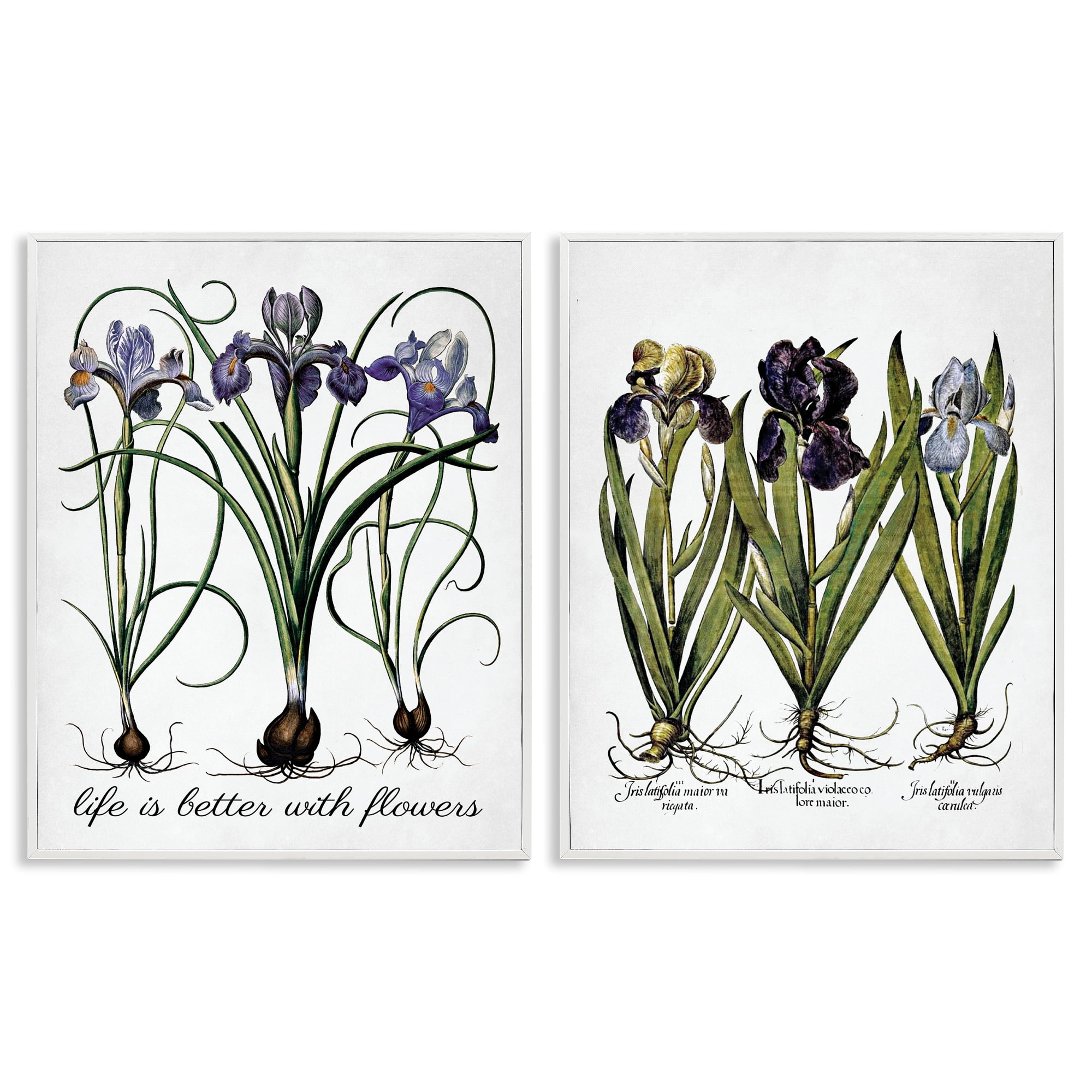 Stupell Industries Better with Flowers Iris Bulb Plants & Flowers Painting White Framed Art Print Wall Art, 16 x 20, Set of 2