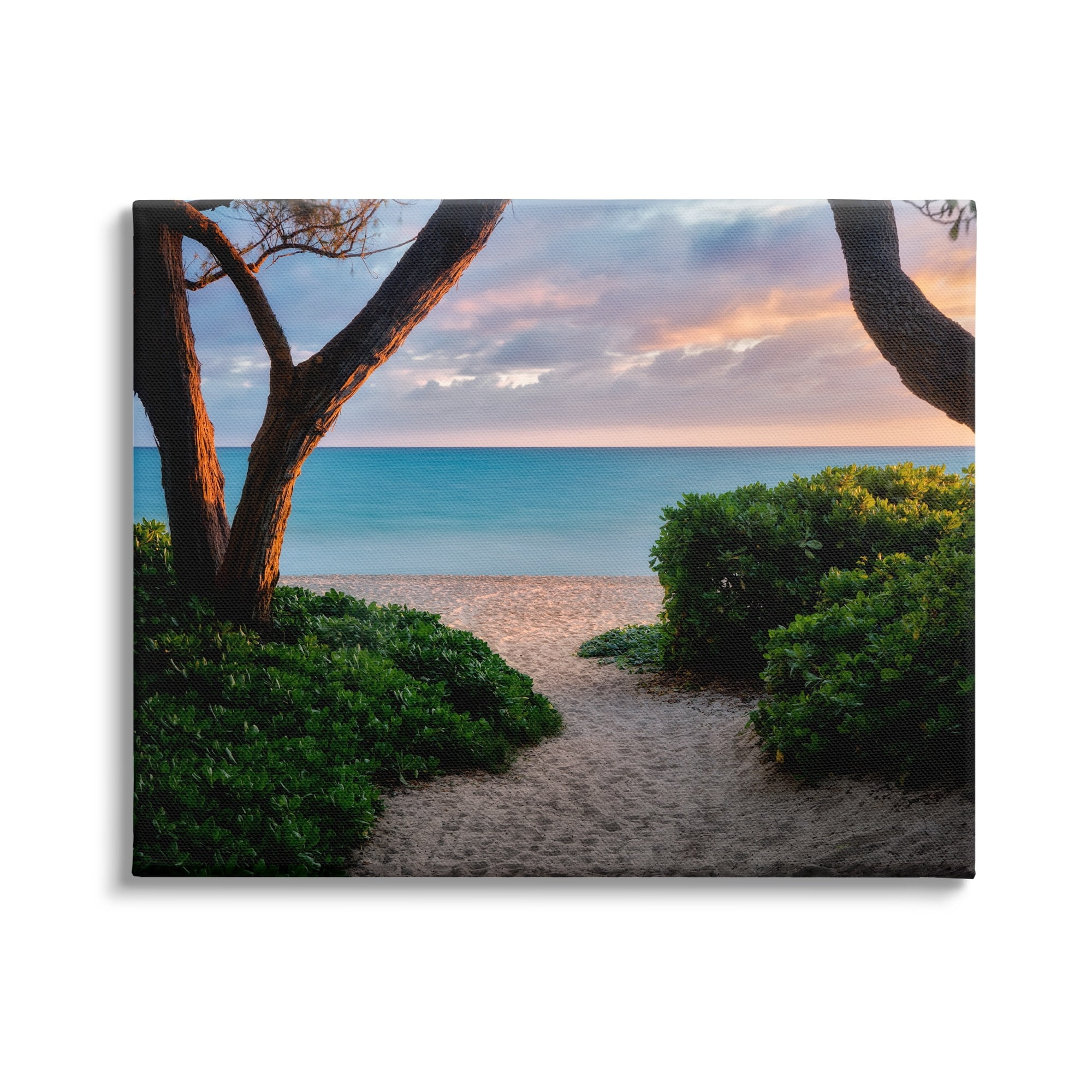 Stupell Industries Between Trees Sandy Beach Path Coastal Photography Gallery Wrapped Canvas Print Wall Art