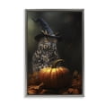 thumbnail image 1 of Stupell Industries Bewitching Gaze of Owl Gray Framed Floater Canvas Wall Art design by Kelley Parker, 31 x 21, 1 of 9