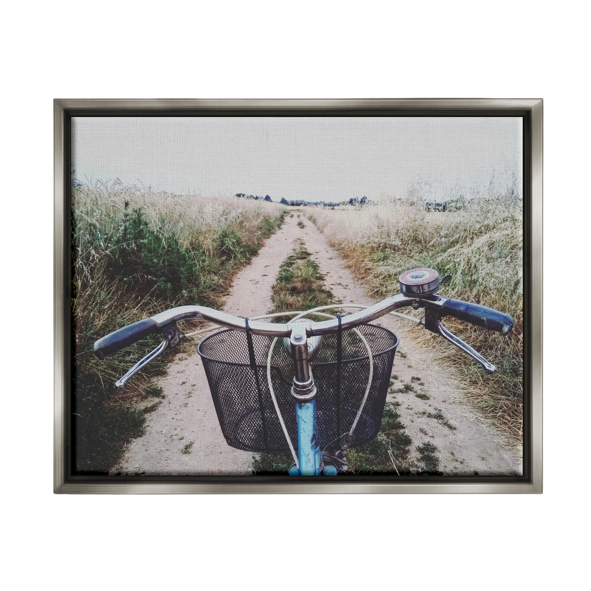 Stupell Industries Bicycle on Rural Path Nature Photography Gray Floater Framed Art Print Wall Art, 21 x 17