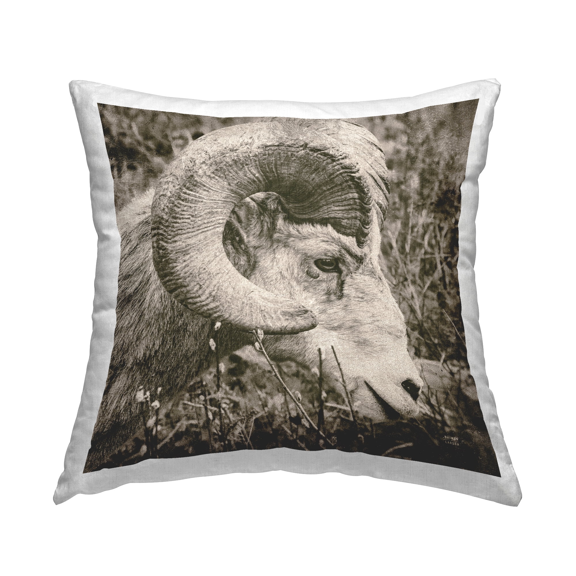 Stupell Industries Big Horned Goat Wildlife Square Decorative Printed Throw Pillow, 18 x 18