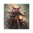 thumbnail image 1 of Stupell Industries Biker Pig on Motorcycle Animals & Insects Painting Gallery Wrapped Canvas Art Print Wall Art, 30 x 30, 1 of 8