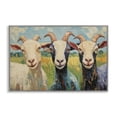 thumbnail image 1 of Stupell Industries Farmhouse Billy Goats in Bright Pasture Gray Framed Giclee Art, 18 x 12, by Petals Prints Design, 1 of 8