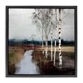 thumbnail image 1 of Stupell Industries Transitional Birch Creek River Black Floating Frame Canvas Art, 18 x 18, by Kim Curinga, 1 of 8