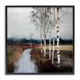 thumbnail image 1 of Stupell Industries Transitional Birch Creek River Black Framed Giclee Art, 12 x 12, by Kim Curinga, 1 of 8