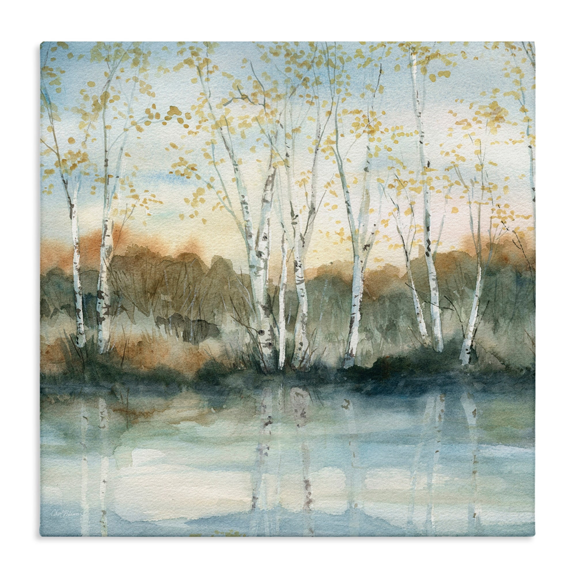 Birch Tree Reflections Landscape Canvas Wall Art, 24 x 24