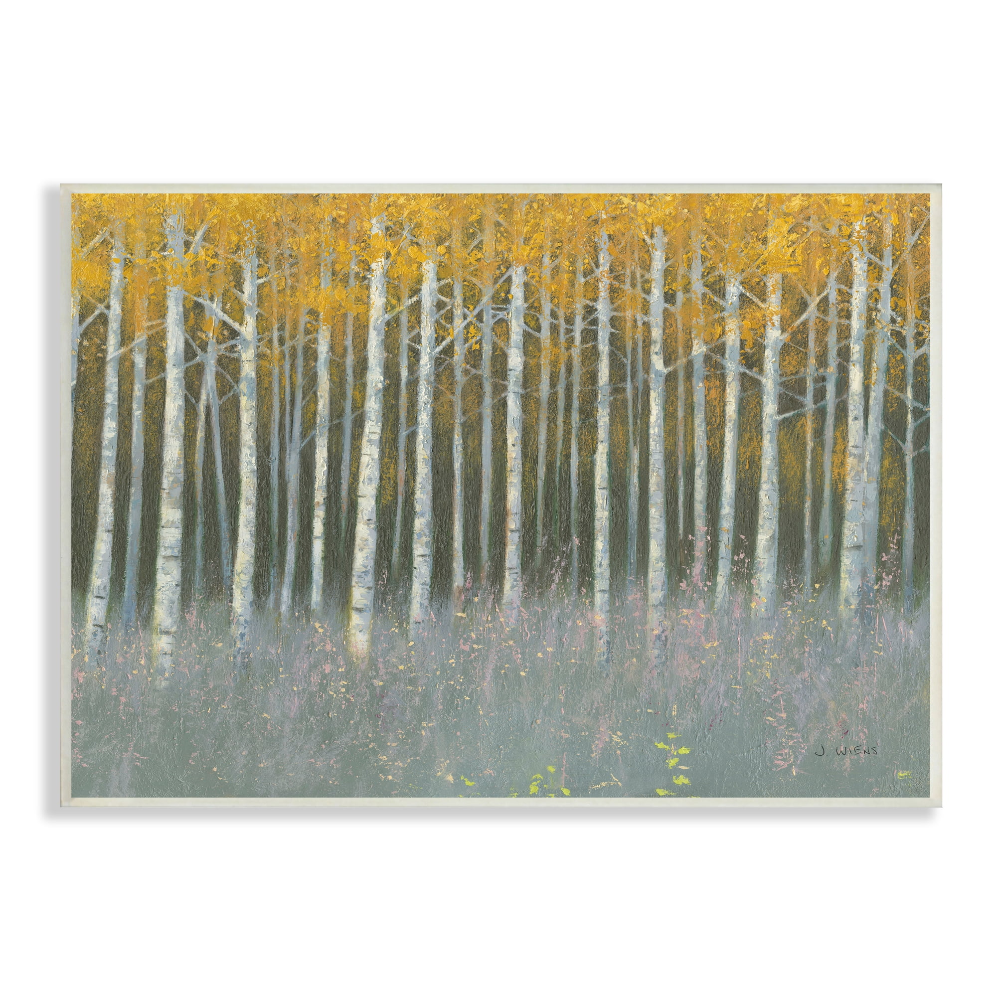 Stupell Industries Birch Tree Woodland Grove Outdoor Nature Landscape, 19 x 13, Design by James Wiens