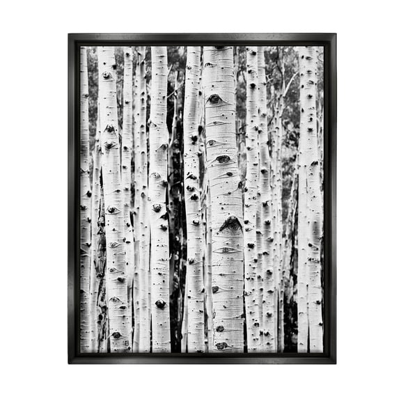 Stupell Industries Birch Trees Forest Nature Photography Black Floater Framed Art Print Wall Art, 17 x 21