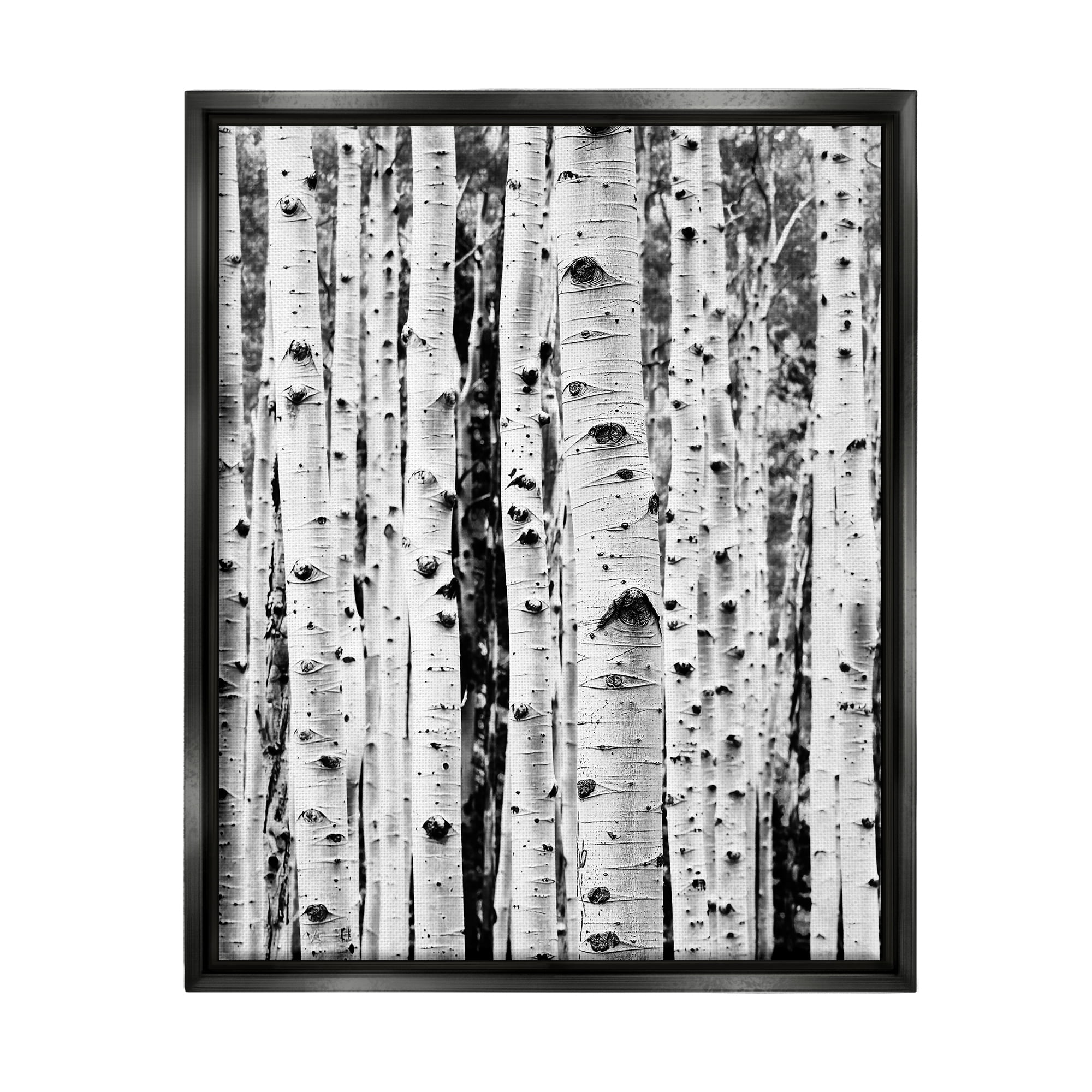 Stupell Industries Birch Trees Forest Nature Photography Black Floater Framed Art Print Wall Art, 25 x 31