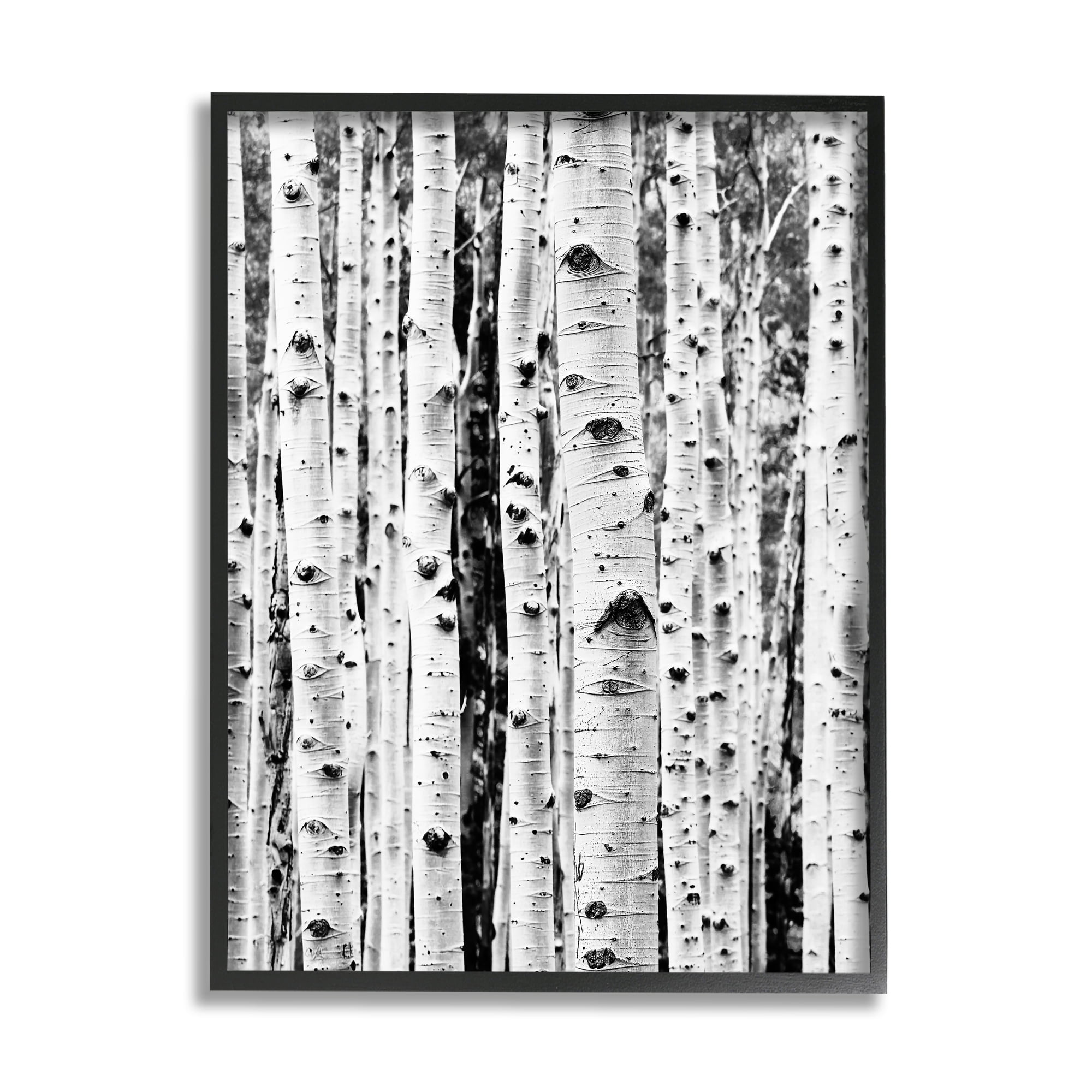 Stupell Industries Birch Trees Forest Nature Photography Black Framed Art Print Wall Art, 24 x 30