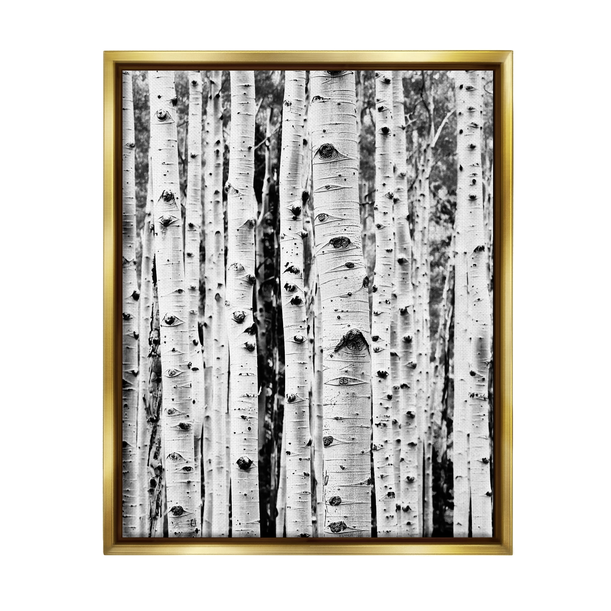 Stupell Industries Birch Trees Forest Nature Photography Gold Floater Framed Art Print Wall Art, 17 x 21