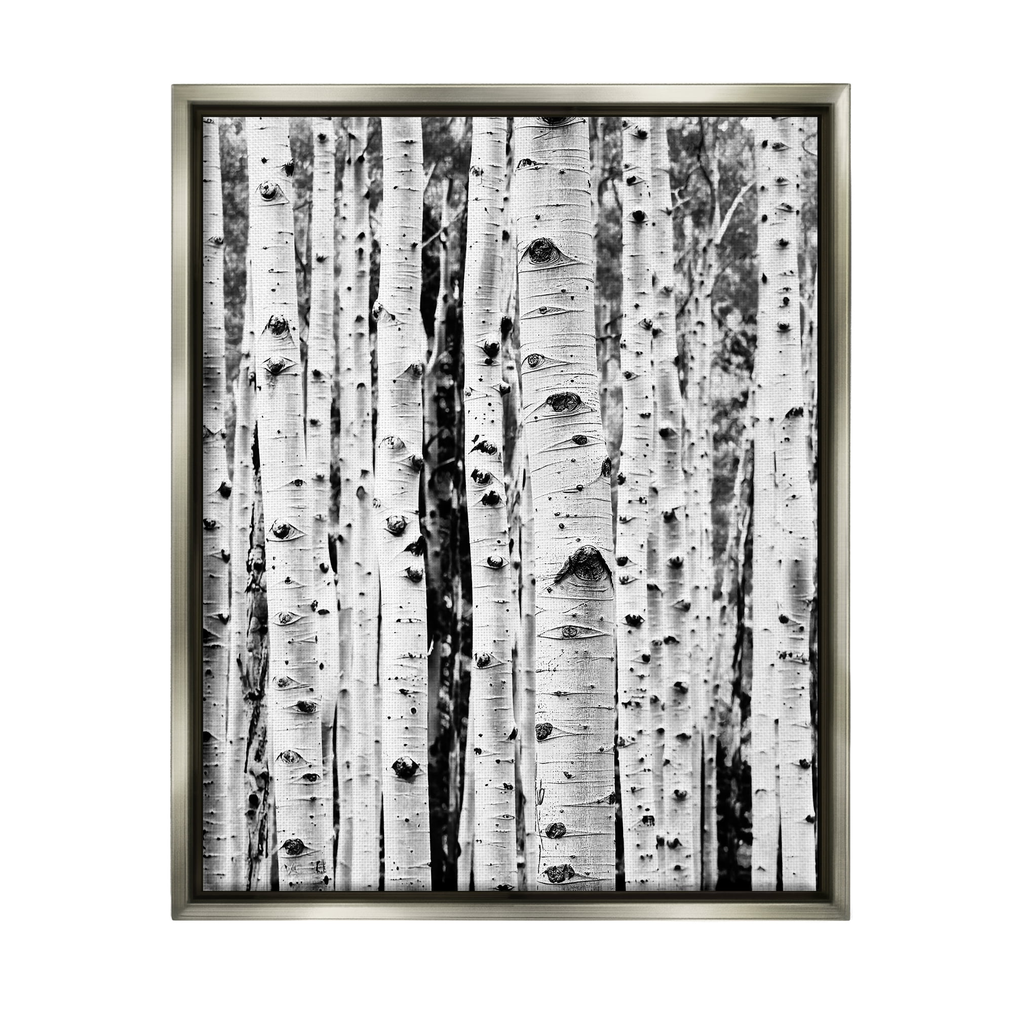 Stupell Industries Birch Trees Forest Nature Photography Gray Floater Framed Art Print Wall Art, 25 x 31