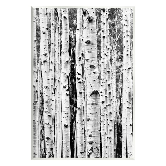 Stupell Industries Birch Trees Forest Nature Photography Unframed Art Print Wall Art, 10 x 15