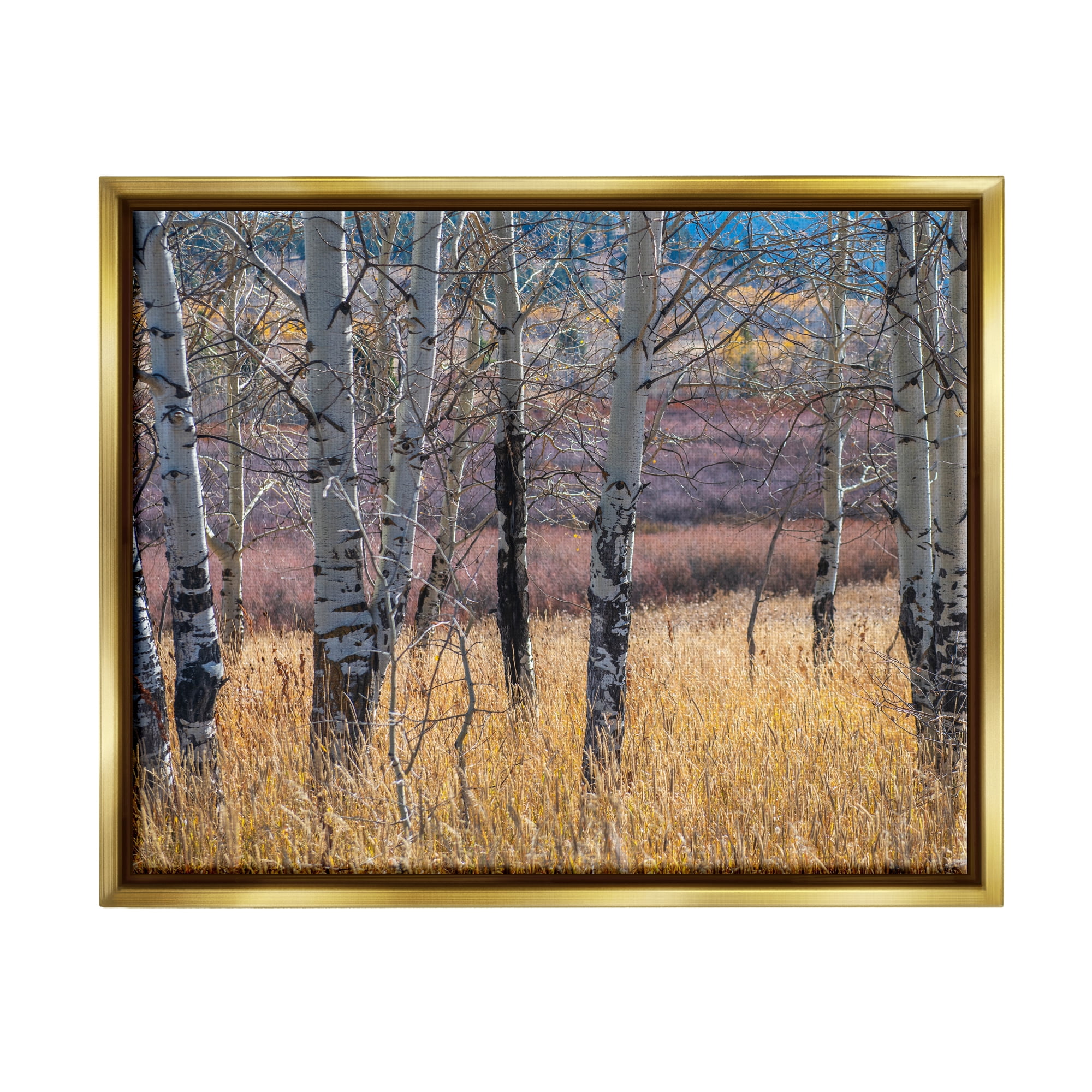 Stupell Industries Birch Trees Photography Nature Photography Gold Floater Framed Art Print Wall Art, 21 x 17