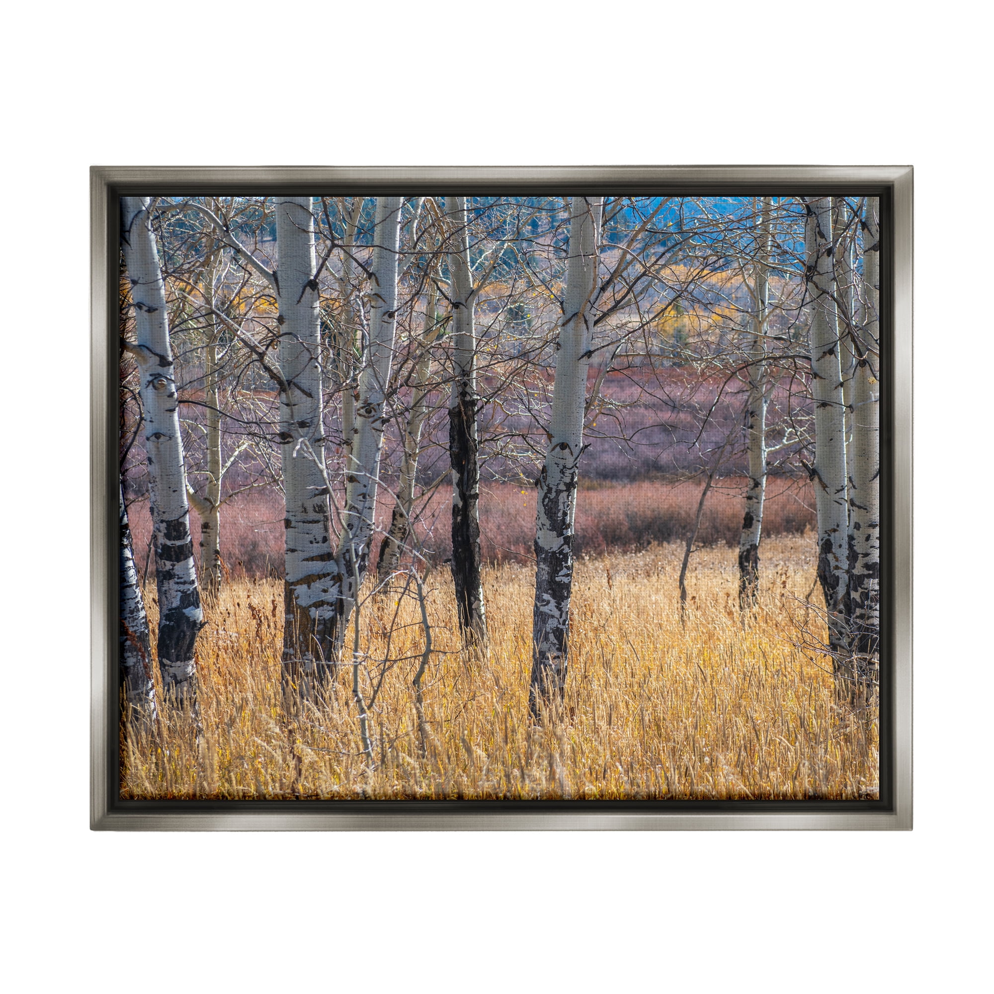Stupell Industries Birch Trees Photography Nature Photography Gray Floater Framed Art Print Wall Art, 31 x 25