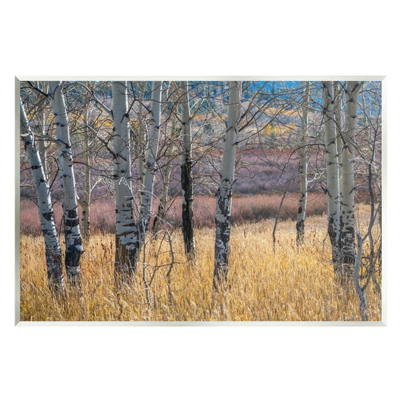 Stupell Industries Birch Trees Photography Nature Photography Unframed Art Print Wall Art, 15 x 10