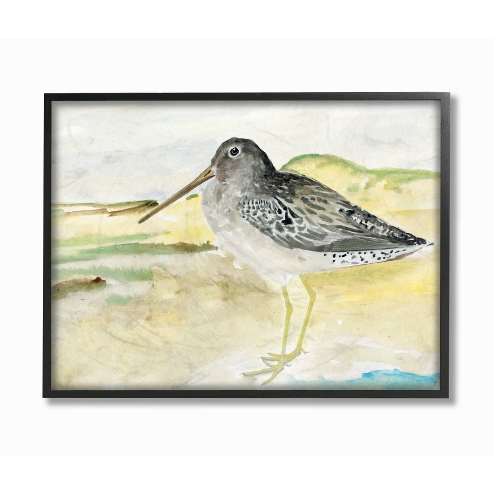 Stupell Industries Bird Encounter Landscape Animal Watercolor Painting Framed Wall Art by Stellar Studio, 24" x 30", Black Framed