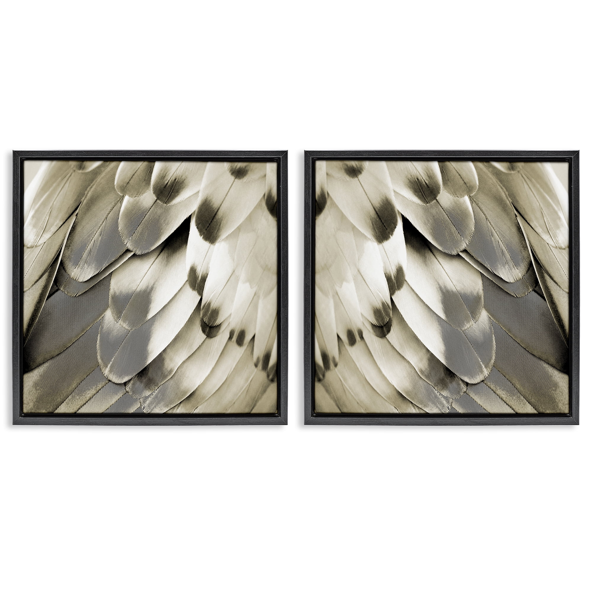 Stupell Industries Bird Feathers Vintage View Animals Painting Black Floater Framed Canvas Art Print Wall Art, 18 x 18, Set of 2