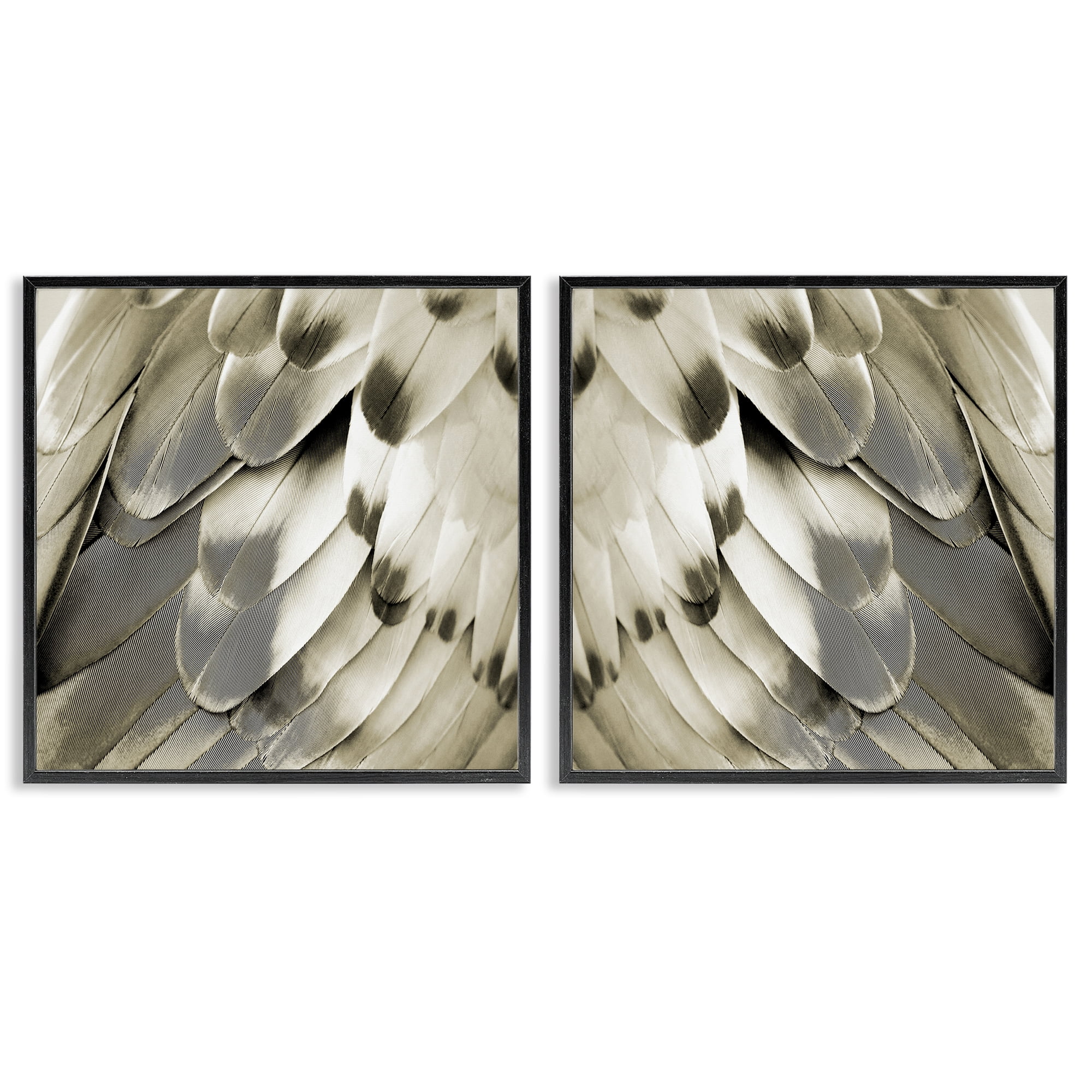 Stupell Industries Bird Feathers Vintage View Animals Painting Black Framed Art Print Wall Art, 17 x 17, Set of 2