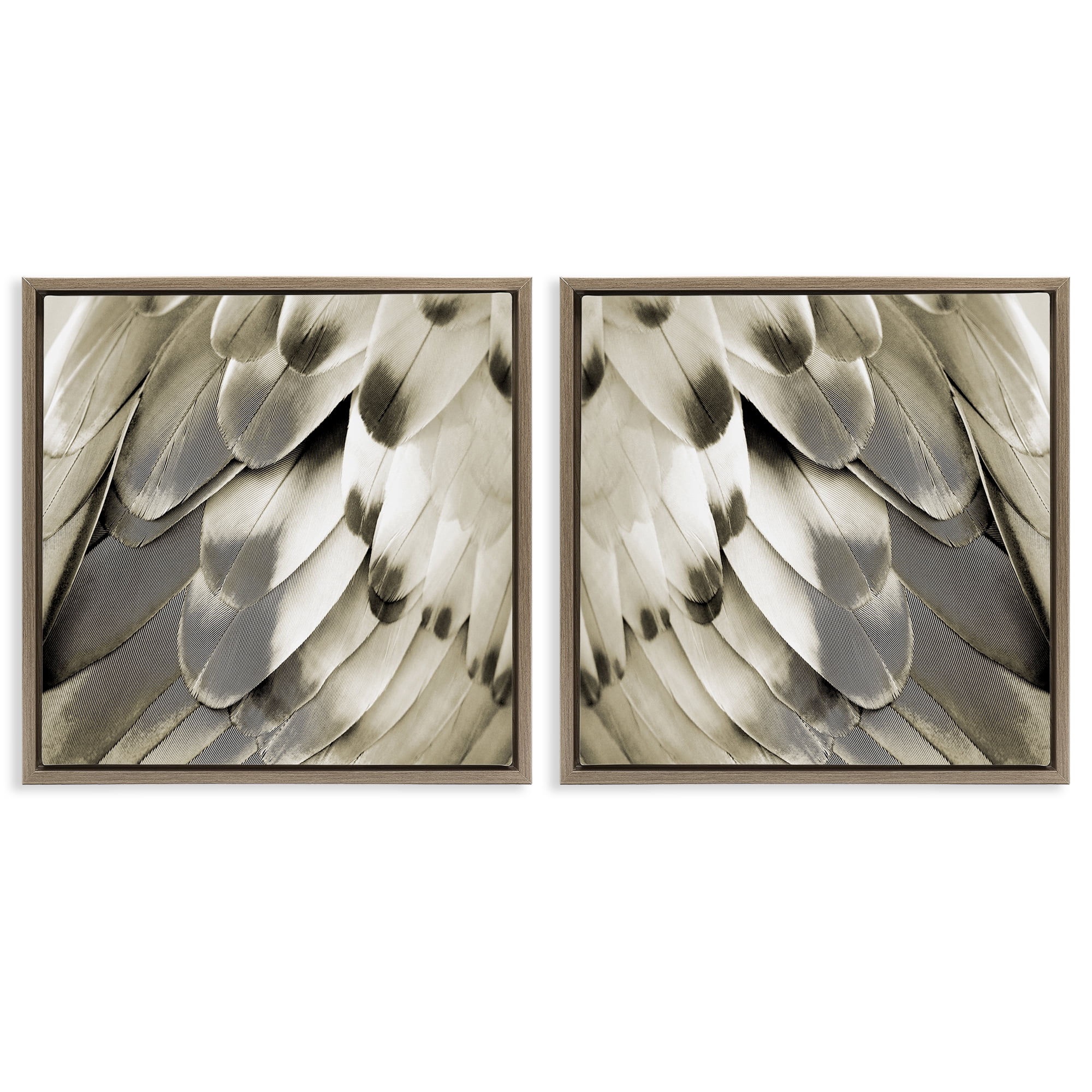 Stupell Industries Bird Feathers Vintage View Animals Painting Brown Floater Framed Canvas Art Print Wall Art, 18 x 18, Set of 2