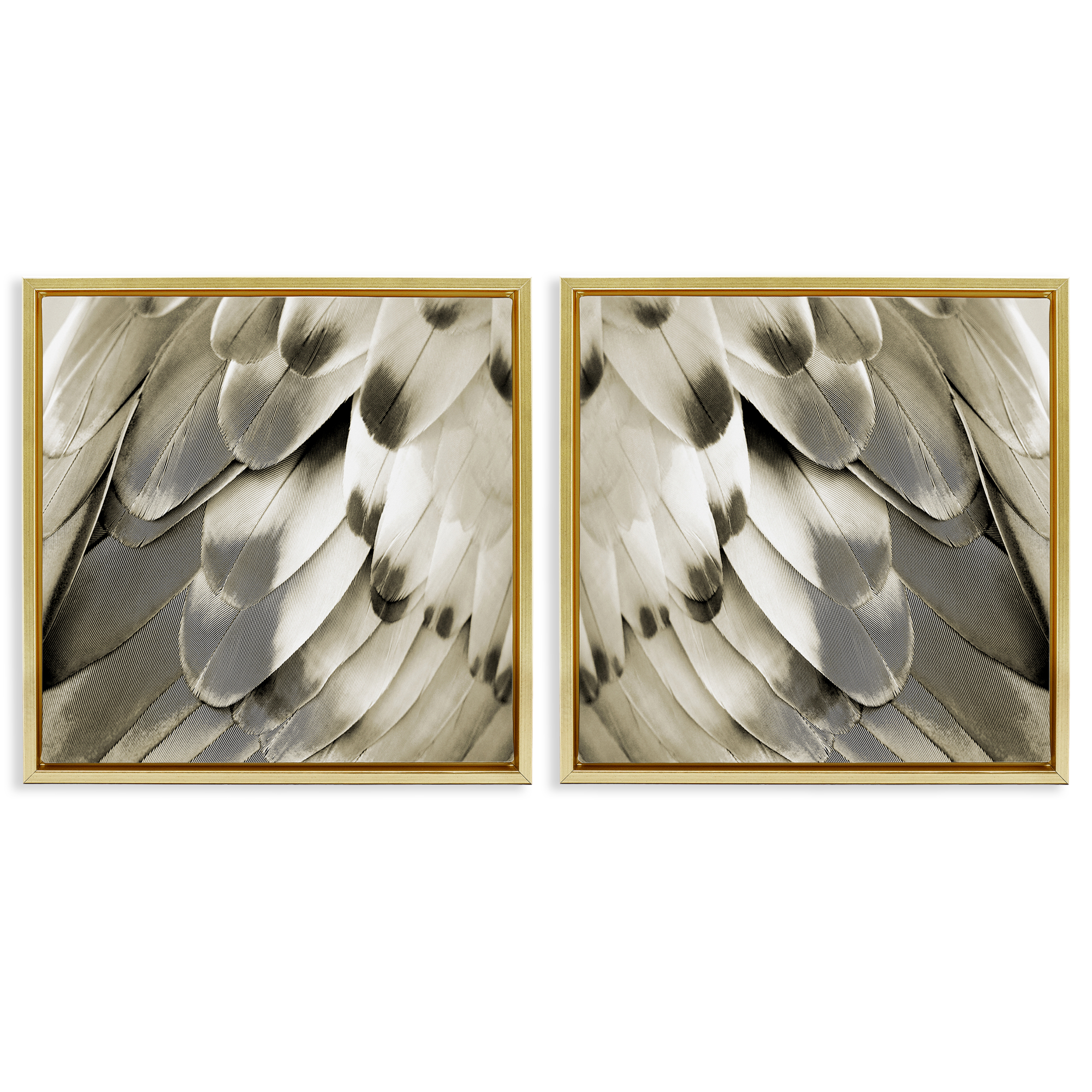 Stupell Industries Bird Feathers Vintage View Animals Painting Gold Floater Framed Canvas Art Print Wall Art, 18 x 18, Set of 2