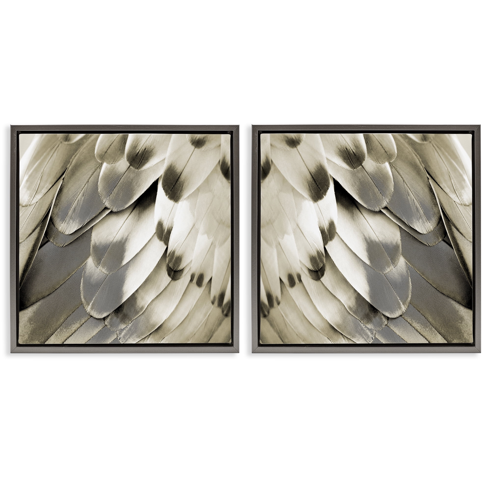 Stupell Industries Bird Feathers Vintage View Animals Painting Gray Floater Framed Canvas Art Print Wall Art, 18 x 18, Set of 2