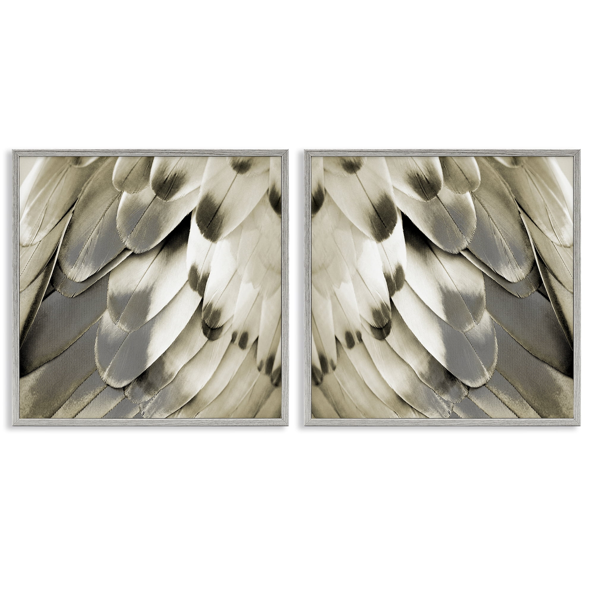 Stupell Industries Bird Feathers Vintage View Animals Painting Gray Framed Art Print Wall Art, 17 x 17, Set of 2