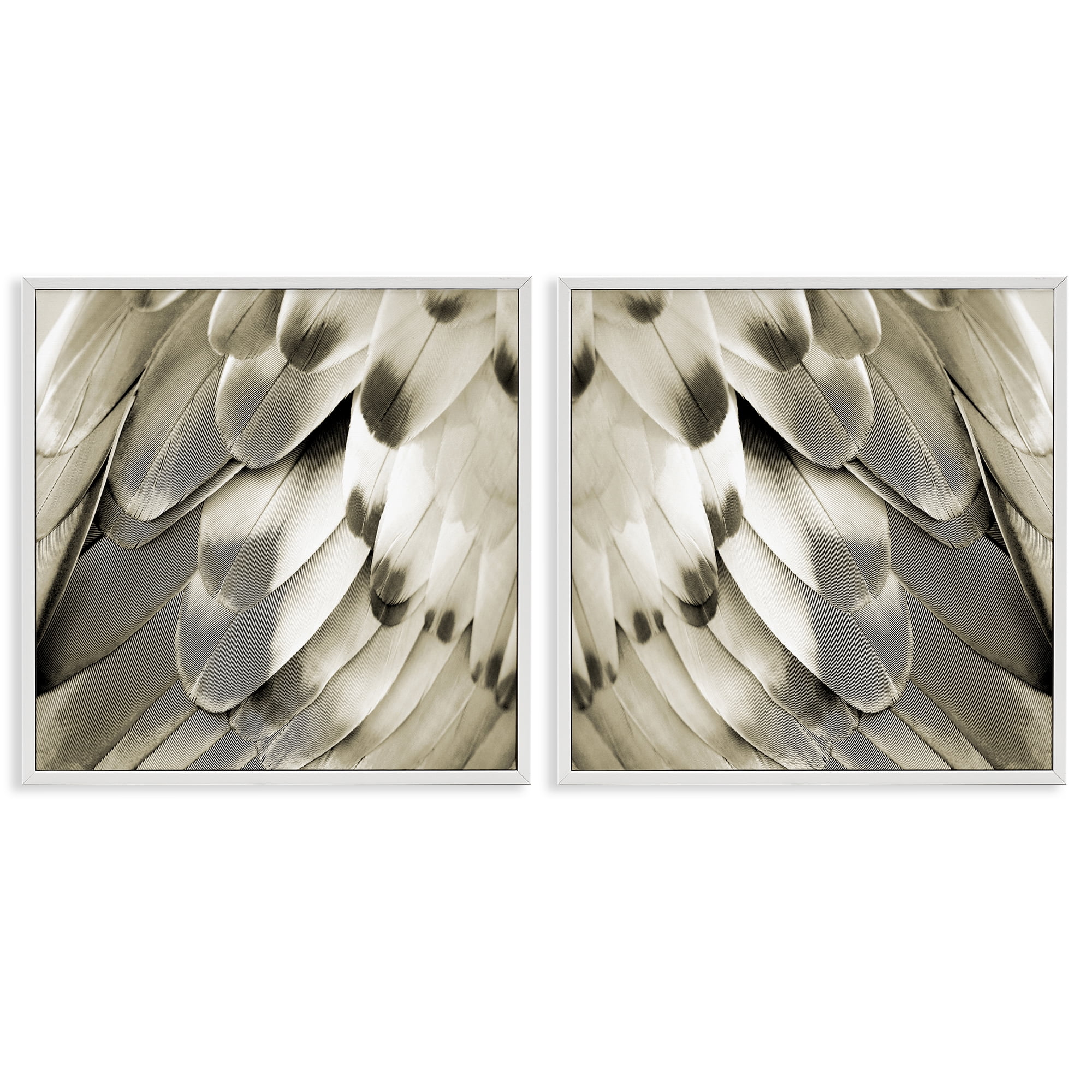 Stupell Industries Bird Feathers Vintage View Animals Painting White Framed Art Print Wall Art, 17 x 17, Set of 2