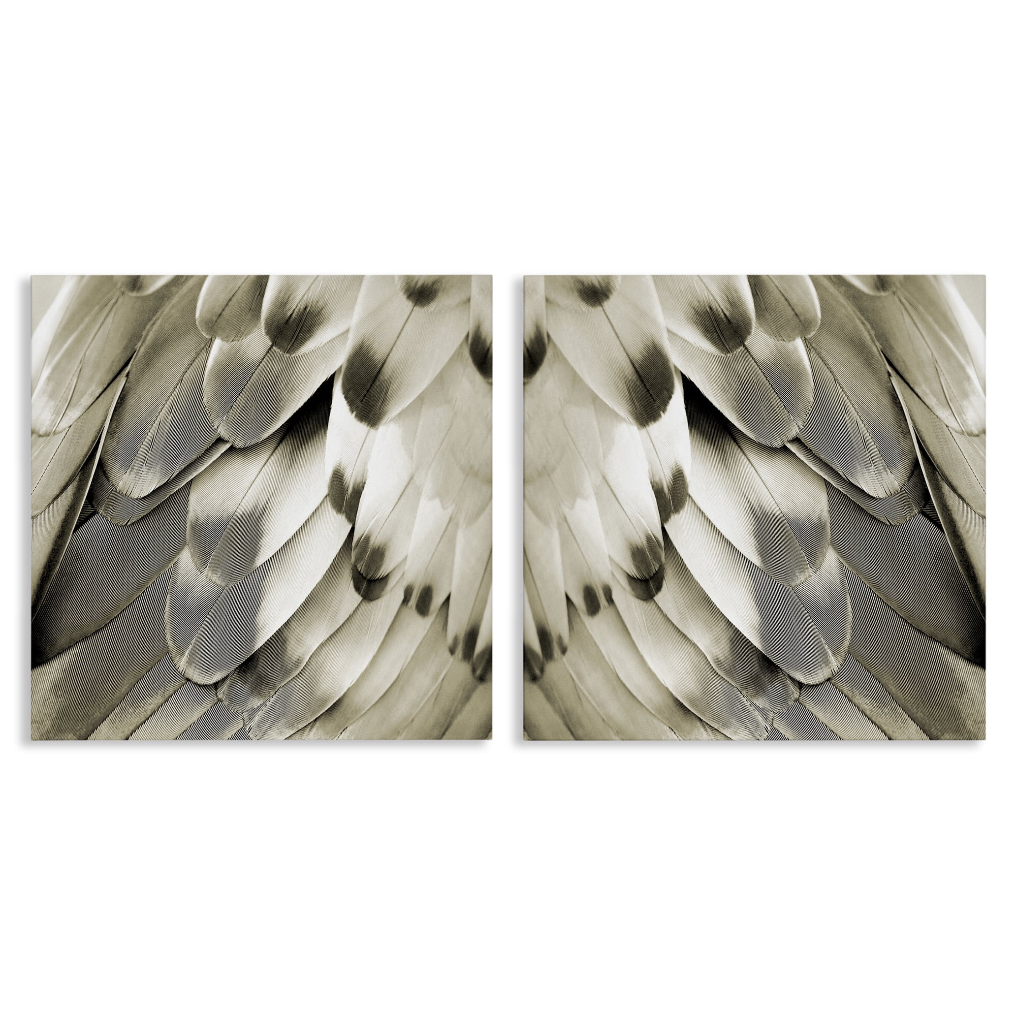 Stupell Industries Bird Feathers Vintage View Animals Painting Wrapped Canvas Art Print Wall Art, 24 x 24, Set of 2