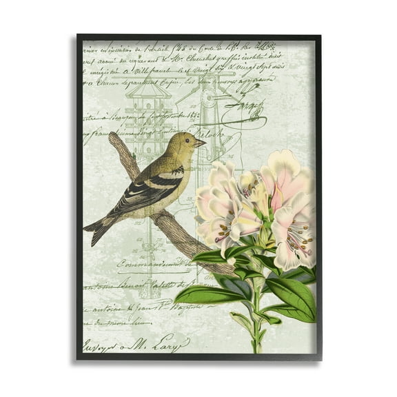 Stupell Industries Bird House Vintage Patent Lily Floral American Goldfinch, 16 x 20, Design by Daphne Polselli